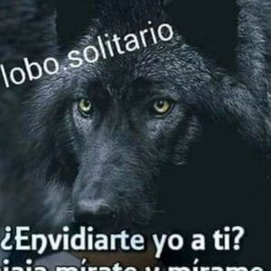 Meet your Posher, Fernando